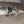 Jetski Trailer Tie Downs Mini