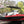 Wake Tower Mounted Bimini